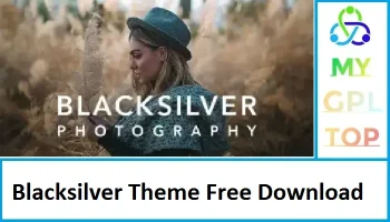 Blacksilver Theme Free Download